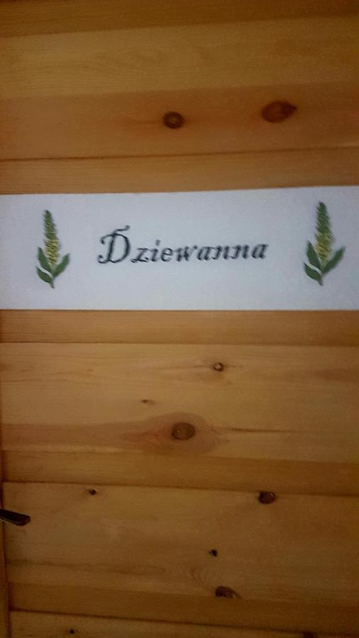 Dziewanna Apartment Brzeziniec Ngoại thất bức ảnh